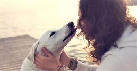 le donne che scopano|Film con cane e donne che scopano .